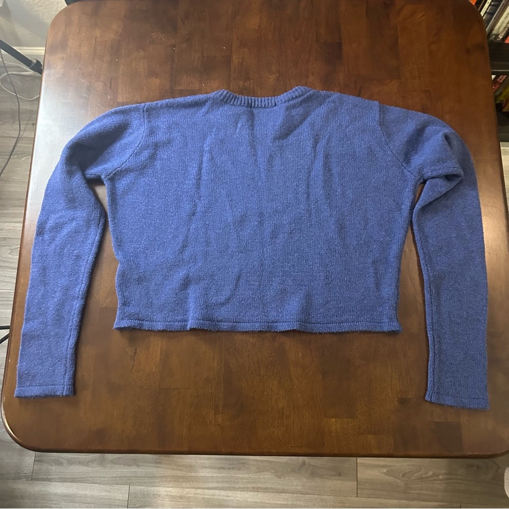 brandy melville blue cropped Francesca sweater in a wool blend - Picture 4 of 16